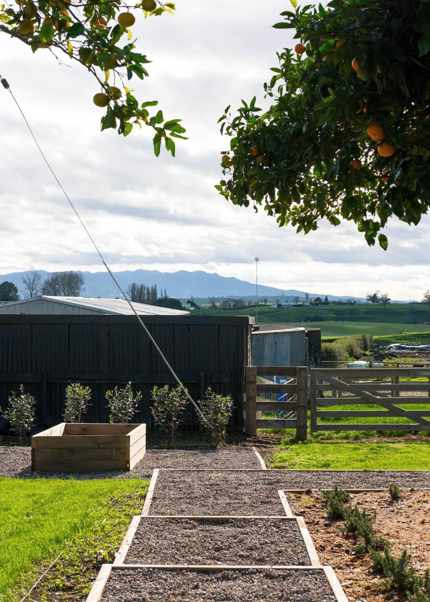 Willow View Cottage - Beautiful Farm Views Close To Waitomo 오토로항가 외부 사진